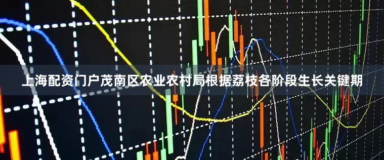 上海配资门户茂南区农业农村局根据荔枝各阶段生长关键期