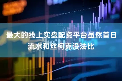 最大的线上实盘配资平台虽然首日流水和丝柯克没法比