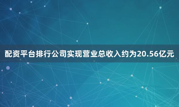 配资平台排行公司实现营业总收入约为20.56亿元